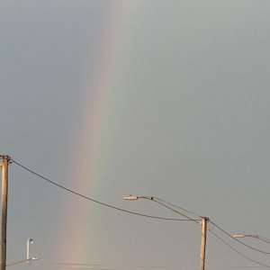 820529E2-41E4-48E7-AB46-BA5365A61133.jpeg