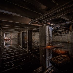 _9160228.jpg