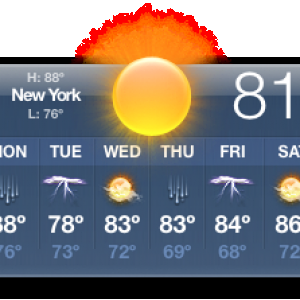 Screen Shot 2020-08-03 at 11.20.50 AM.png