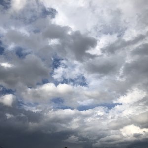 284A0645-FB23-4460-ADD9-94FC09A56342.jpeg