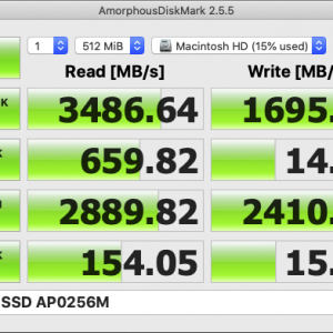 APPLE SSD AP0256M.png