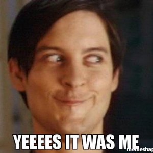 -yeeees-it-was-me-meme-43679.jpg