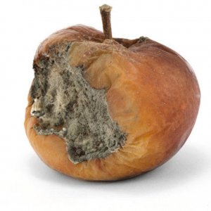 rotten_apple.jpg
