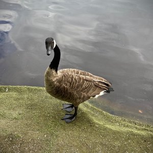 IMG_7572.jpg