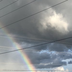 16BA3962-9C2F-4F9A-BD47-58BD3BF1542A.jpeg