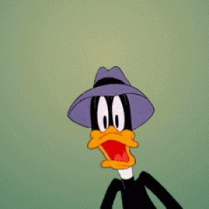 IMG_1004.GIF