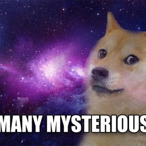 Doge-Many.jpg