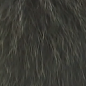1599701543447.png