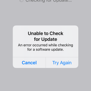 IMG_9826.png