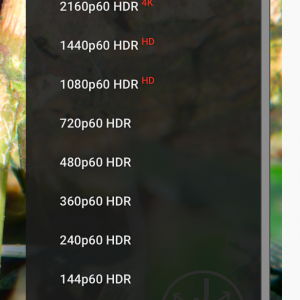 Screen Shot 2020-09-18 at 1.47.31 PM.png