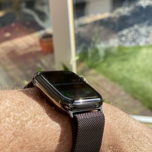 IMG_2887.jpeg