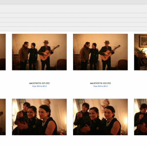Neofinder-granular-search.png