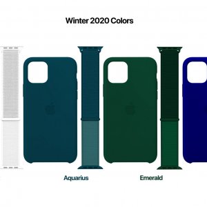 winter 2020 bands.jpg