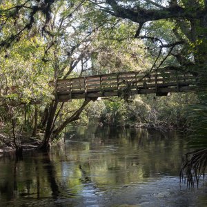 Hillsborough River SP- 1500px-13.JPG