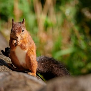 DSC_8113 1.jpg