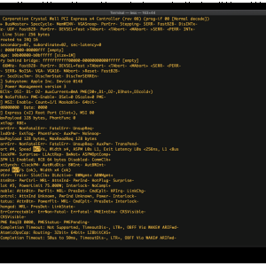 Screen Shot 2020-09-27 at 12.33.25 PM.png