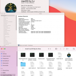 BigSurBeta9-iMac2011.png