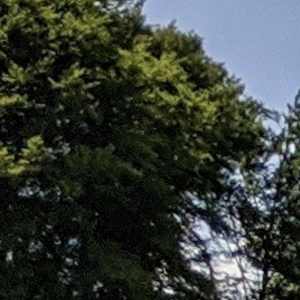 795D7E79-5A77-45CD-945B-2484D4898615.png