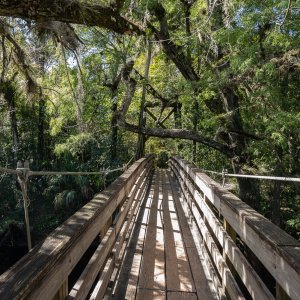 Hillsborough River SP- 1500px-15.JPG