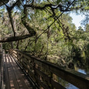 Hillsborough River SP- 1500px-14.JPG