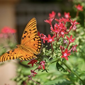 BD05A750-96E4-4451-BFEC-435153010EE3.jpeg