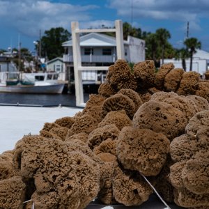 Tarpon Springs-1500px-3.JPG