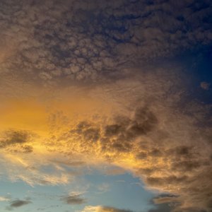 9E60CE96-5C43-4826-9F50-3B46604D6143.jpeg