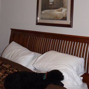 DSC01793.jpeg