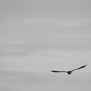 42B28756-AD1D-45AE-8579-5280DB31761D.jpeg