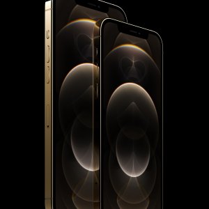 Apple_iphone12pro-stainless-steel-gold_10132020_inline.jpg.large_2x.jpg
