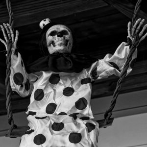 Bone-ified Swing on the Deck.jpeg