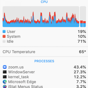 Zoom 20 people slide share.png