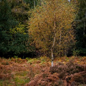 _DSC5795-HDR.jpg