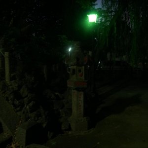 image7-11.jpg