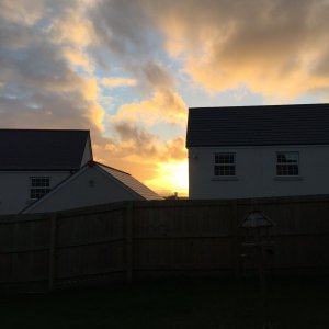 IMG_0818.jpeg