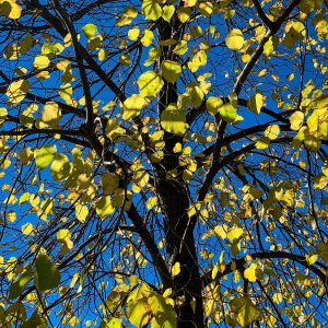 D97F9603-CFA1-41B7-A276-A9BD3359EAE6.jpeg