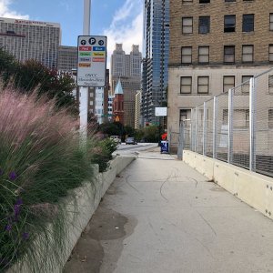 IMG_5577.jpeg