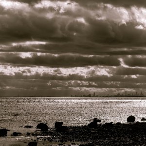 nyc_tint_2-18-2019.jpg
