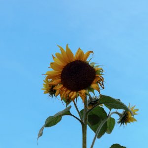 IMG_0664_4000px.jpg