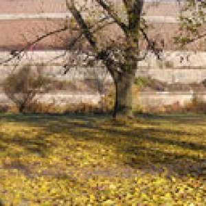 Wuerzburg_Talavera_small1.jpg
