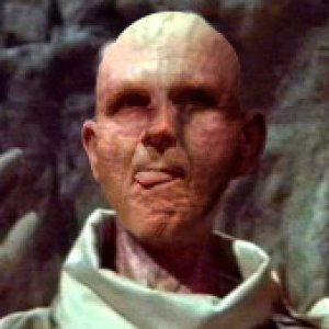 ballmer_apes_03.jpg
