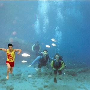 underwater-pic-fish.jpg