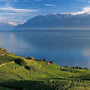 3095_A20.jpg