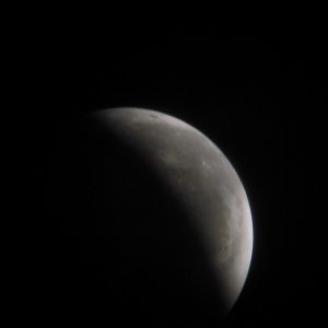 IMG_7638.jpg