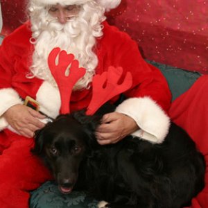 cheweyandsanta.jpg