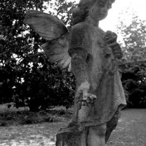 b&w2.jpg