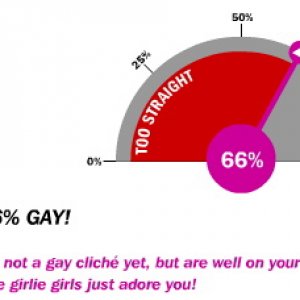 Gay-o-Meter.jpg