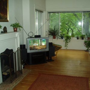 P1010024.jpg