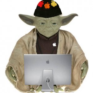 yoda.jpg