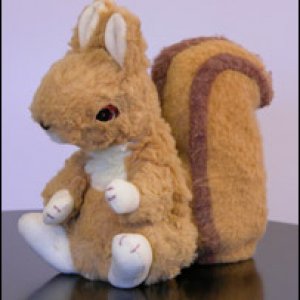_40700060_squirrel203ok.jpg